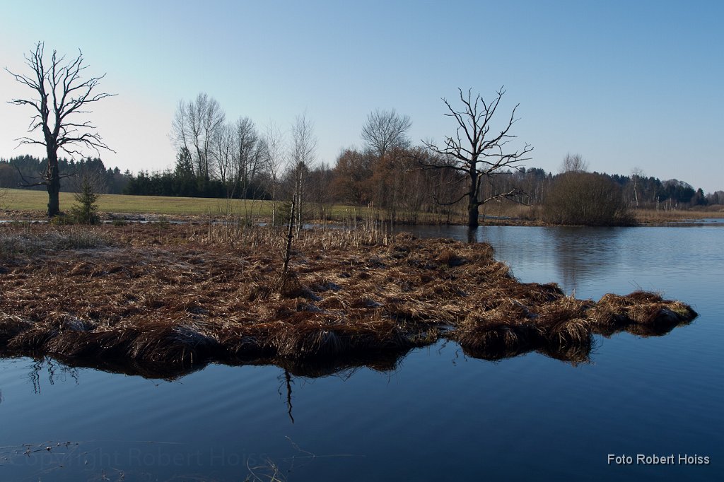 2011-03-31 22 In_der_Seachten_1231_RH.jpg